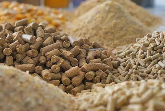 Cow Feed Pellets by Gowssi Feeds