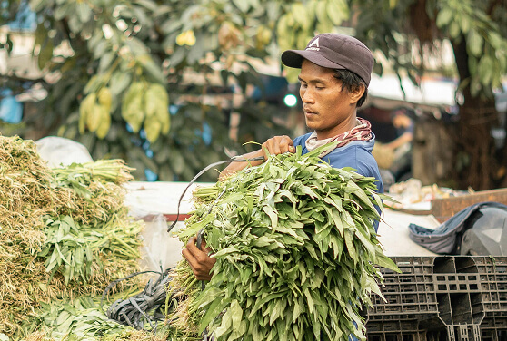 Cow Feed Pellets by Gowssi Feeds